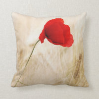 Single Red Poppy in a Grassy Field