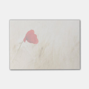 Single Red Poppy in a Grassy Field Post-it Notes