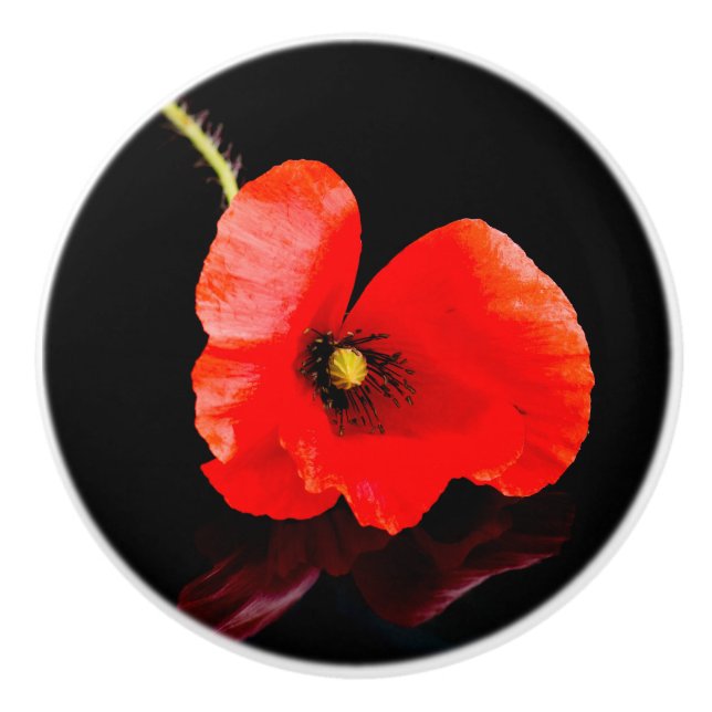 Single red poppy on black ceramic knob (Front)