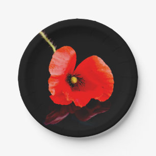 Single red poppy on black paper plate