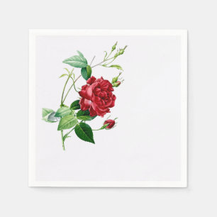 Single Red Redoute Rose on Eggshell Napkins