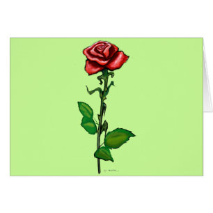 Single Red Rose