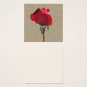 Single red rose bud