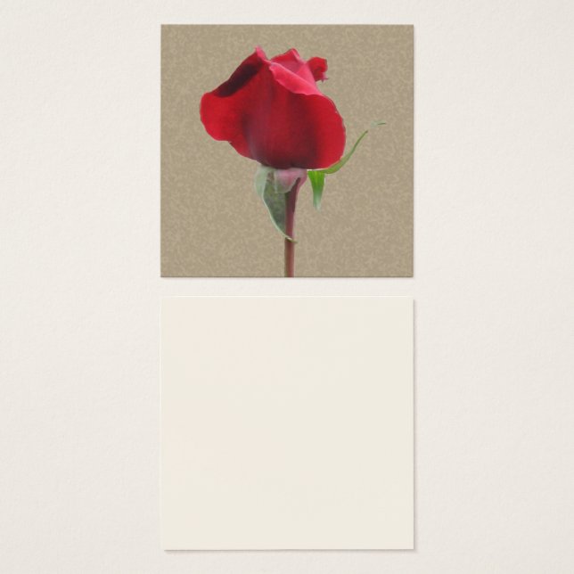 Single red rose bud (Front & Back)