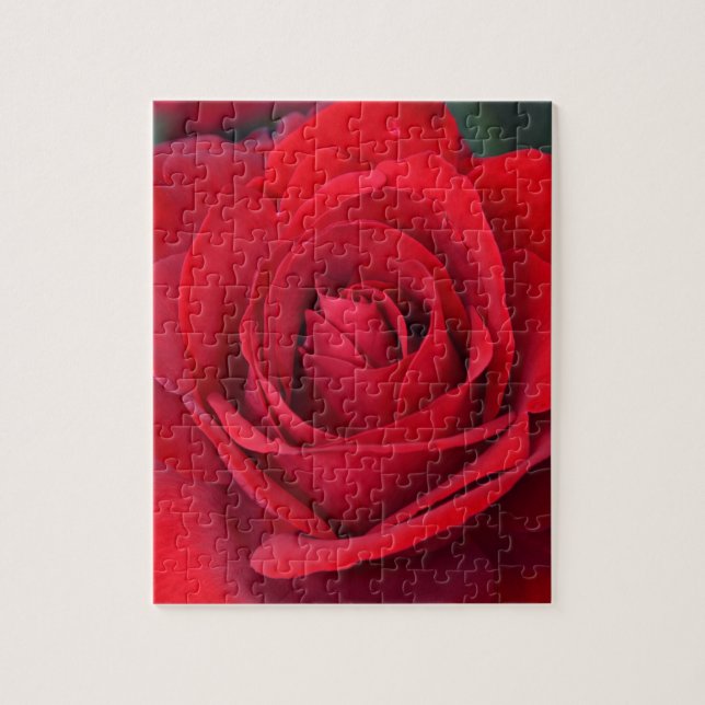 Single red rose in full bloom jigsaw puzzle (Vertical)