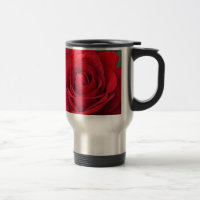 Single red rose in full bloom