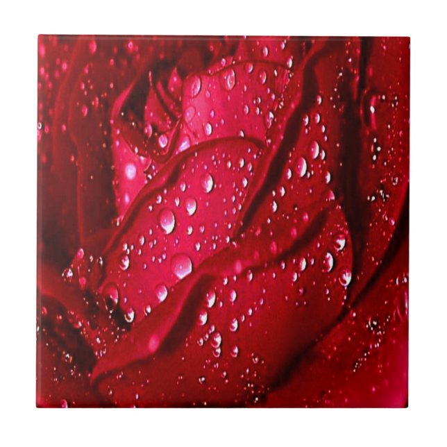 Single Red Rose in the Rain Tile (Front)