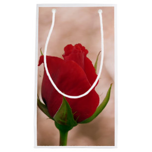 Single Red Rose Small Gift Bag