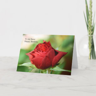 Single Red Rose To my Sister Happy Birthday Card