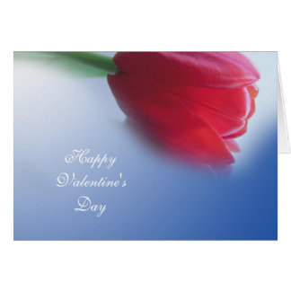Single red tulip flower