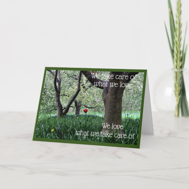 Single Red Tulip for Love and Caring  Card (Front)