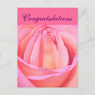Single Rose_ Postcard
