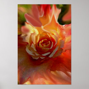Single Rose Poster