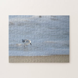 Single Sandpiper walking on beach  Jigsaw Puzzle