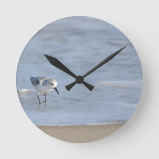 Single Sandpiper walking on beach  Round Clock