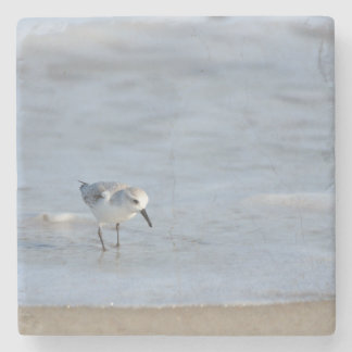 Single Sandpiper walking on beach  Stone Coaster