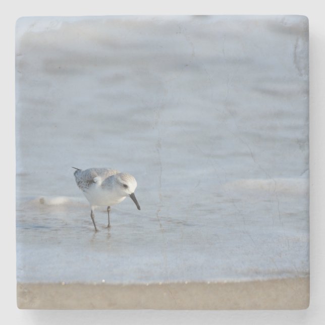 Single Sandpiper walking on beach  Stone Coaster (Front)
