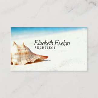 Single Shell on Sun-Kissed Sands Business Card