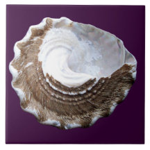 Single Shell tile