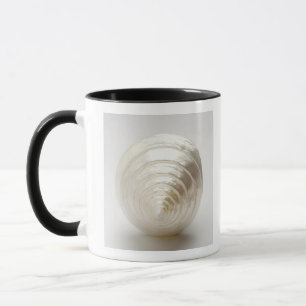 Single spiral seashell mug