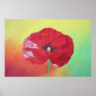 Single Stem Poppy On Red Green And Orange Backgrou Poster