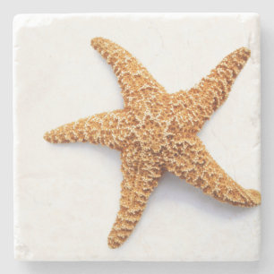 Single Sugar Starfish Stone Coaster