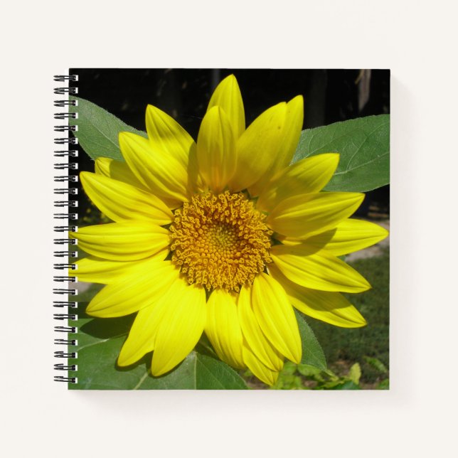 Single Sunflower Notebook (Front)