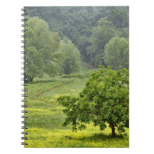 Single tree in agricultural farm field, Tuscany, 2 Spiral Notebook