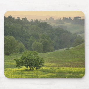 Single tree in agricultural farm field, Tuscany, Mouse Pad