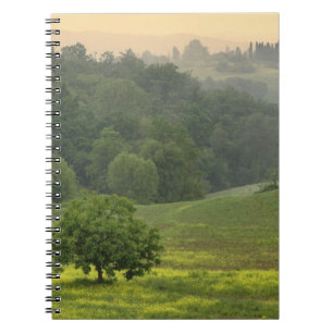 Single tree in agricultural farm field, Tuscany, Notebook