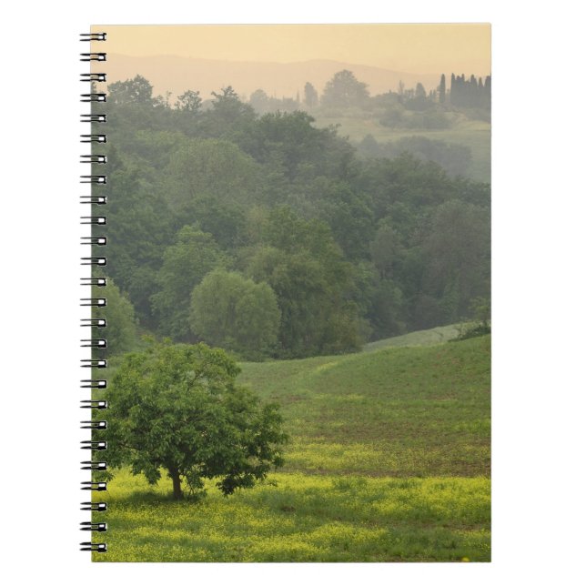 Single tree in agricultural farm field, Tuscany, Notebook (Front)
