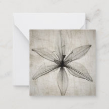 Single Vintage X-Ray Flower