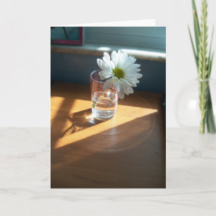 Single white daisy in a sunny spot on a blank card