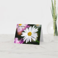 Single White Daisy Postcard