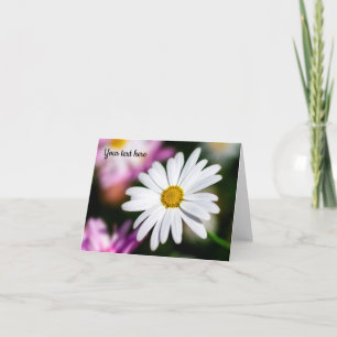 Single White Daisy Postcard