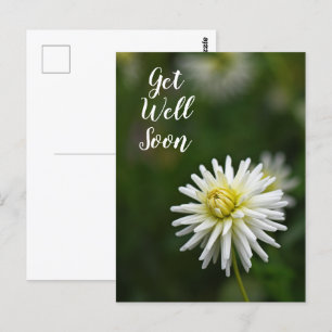 Single White Flower Get Well Soon Postcard
