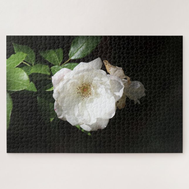 Single White Flower Jigsaw Puzzle (Horizontal)