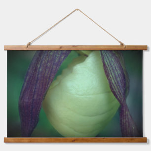 Single White Lady Slipper Orchid Flower Close Up Hanging Tapestry