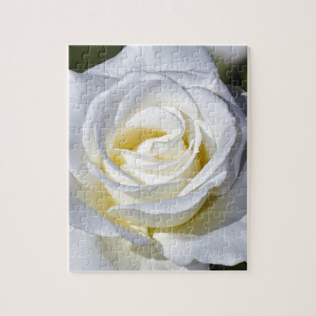 Single white rose blossoms jigsaw puzzle (Vertical)
