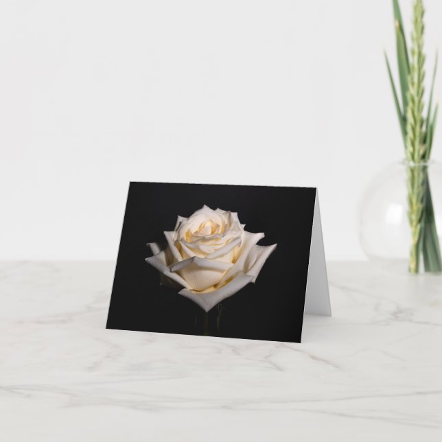 Single White Rose Card (Front)