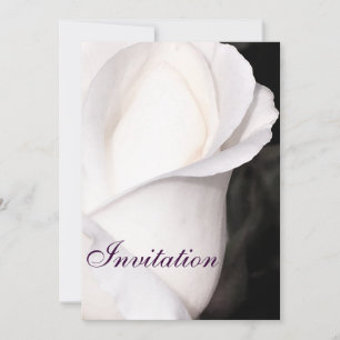 Single White Rose_ Invitation