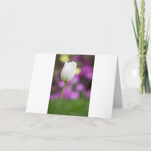 single white tulip card