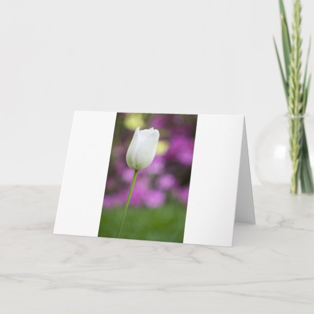 single white tulip card (Front)