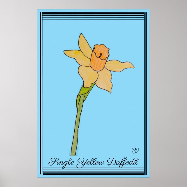 Single Yellow Daffodil Baby Blue Poster (Front)