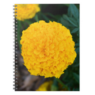 Single Yellow Marigold Notebook