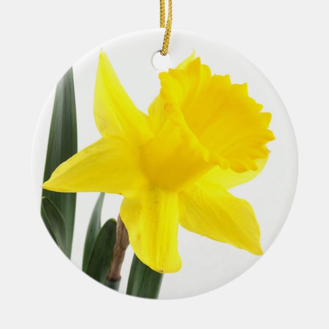 Single Yellow Narcissus Daffodil Ceramic Tree Decoration (Front)