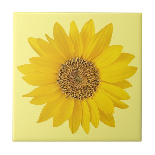 Single Yellow Sunflower on Light Yellow Tile (Front)