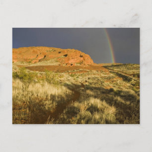 Singletrack at Red Cliffs Desert Preserve near Postcard
