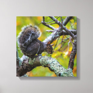 SINISTER SQUIRREL WRAPPED CANVAS PRINT