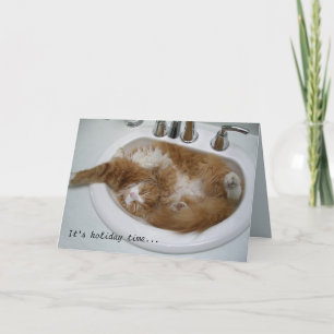 Sink cat holiday card